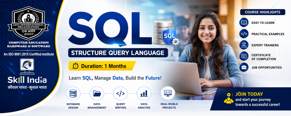 Structured Query Language(SQL)